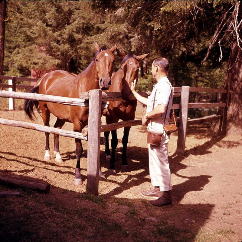 Vern Gilbert loved horses.jpg